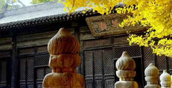 大觉寺：北京“三大寺庙花卉”之玉兰花