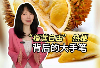 “榴莲自由” 热梗背后的大手笔