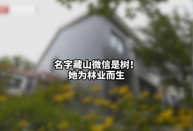 名字藏山微信是树！她为林业而生