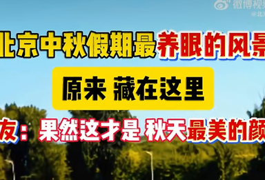 北京中秋假期最养眼的风景原来藏在这儿！网友：果然这才是秋天最美的颜色