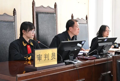 新质生产力法律保护中心搭平台，请专家促涉专利案件调解