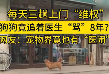狗狗竟追着医生“骂”8年 每天三趟上门“维权”