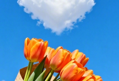 今日气温回升 最高气温14℃ 周日起大风降温再来