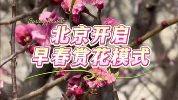 快来享受春花！当料峭春寒尚未完全褪去，北京的早春已悄然登场