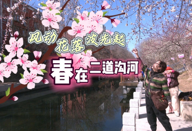 二道沟河山桃初绽 市民尽享早春浪漫
