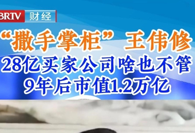 “撒手掌柜”王伟修 28亿买家公司啥也不管 9年后市值1.2万亿