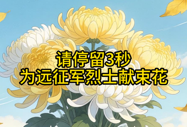 请停留3秒，为远征军烈士献束花