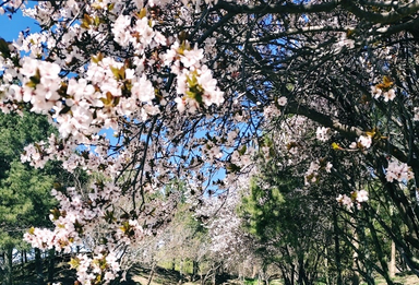 4月第一天，解锁北京那些精致的“宝藏美景”