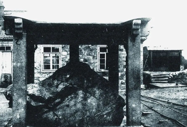 “属于中国的国宝，我们就要带它回家！”