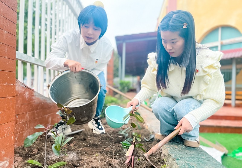 拥抱春天，植此青绿