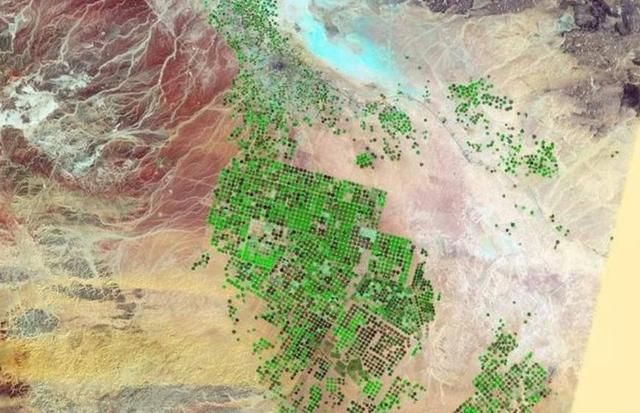 为什么沙特、阿联酋等国家那么有钱却不大力发