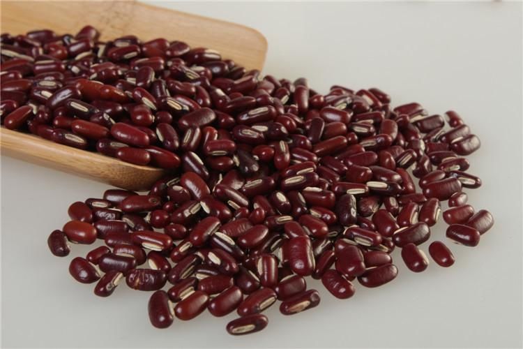 温顺明大夫:专业治疗内痔的偏方,很有效,患者不