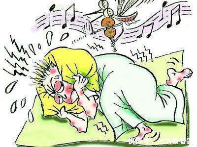 蚊子咬了别擦药,盘点3个迅速止痒的方法,很多