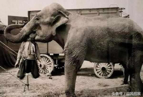 䶮经常研究不同的刑罚,他亲自设计了很多酷刑,比如刀锯,支解,刳剔等等