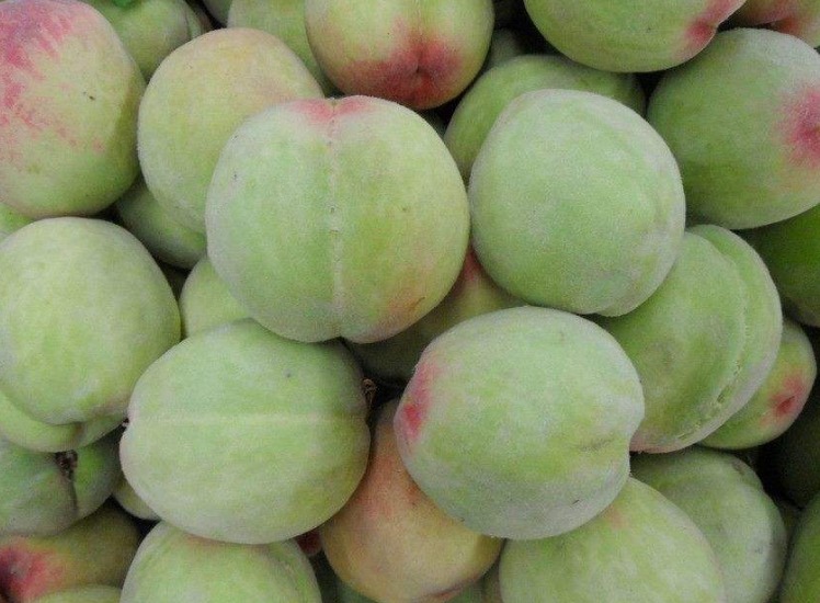 毛桃要削皮吗 这样吃最正确