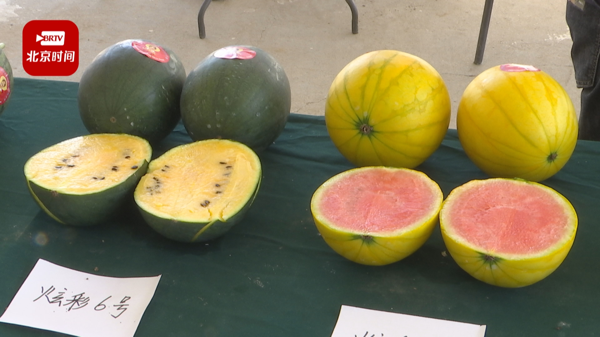 本地彩瓤西瓜“抢鲜”上市 本地彩瓤西瓜“抢鲜”上市
