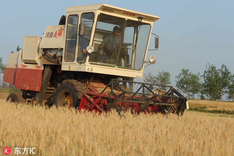 这里是中国改革开放第一村 走进安徽凤阳看小