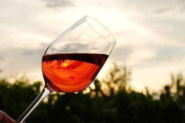 酿酒技术自制葡萄酒多久滤渣,葡萄酒渣子有什