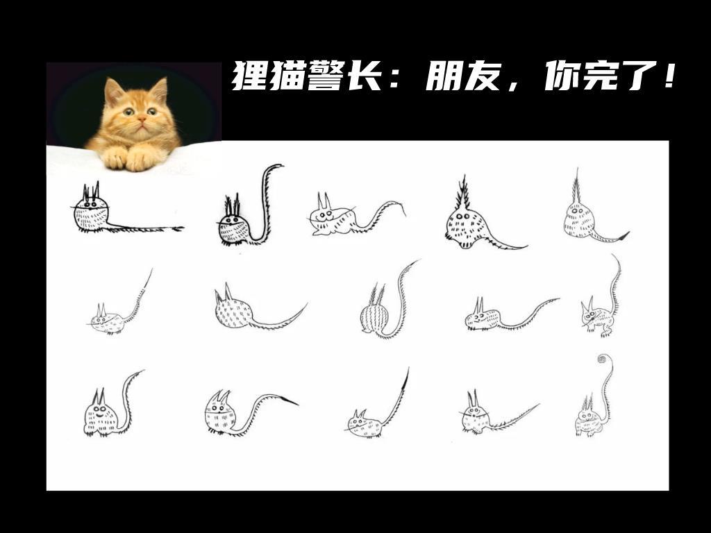喵!你知道吸猫是从啥时候开始流行的吗?_北京时间