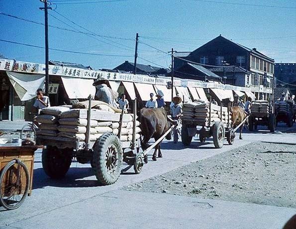 一组老照片,带你穿越到上世纪50年代的台湾