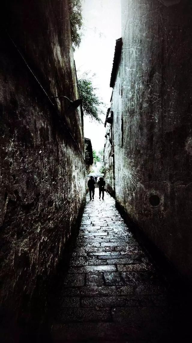 文艺青年最喜欢的几个手机APP,我帮你找全了