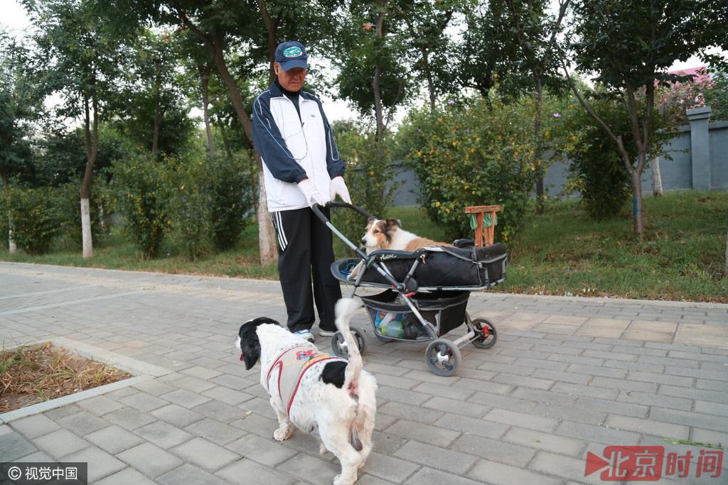 七旬老人推童车遛狗 因狗年龄大了