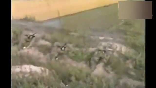 179旅下辖司令部、政治部、后勤部、装备部四个部门，现编有1个炮兵团、3个摩步营、1个坦克营和工兵、通信2个保障营以及警侦、汽车等勤务分队计3千余人。