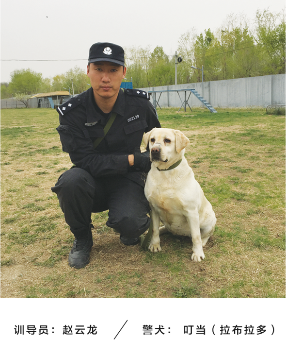 公交警犬卡通形象 七小汪 发布七只犬以 忠诚爱国永平安 命名 雪花新闻