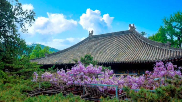 四惠客运站旅游班线强势回归啦!4月恢复5条线路运营 四惠客运站旅游班线强势回归啦!4月恢复5条线路运营