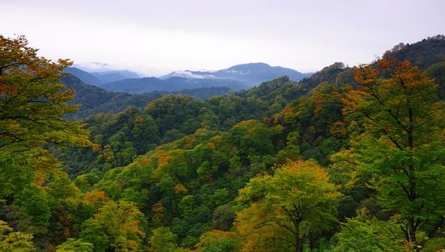 大坝森林公园,通江诺水河,空山坝遗址,巴州阴灵山,南阳森林公园,章