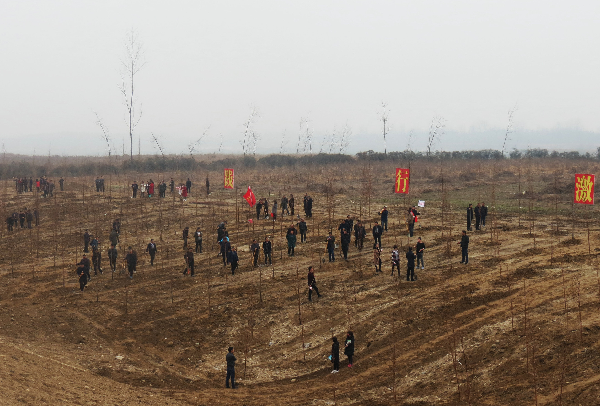 城固县开展2018年机关单位干部职工春季义务