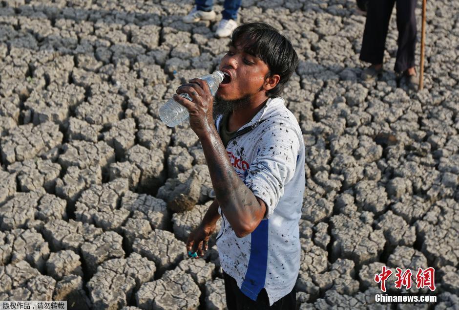 印度高温导致干旱 河塘干涸死鱼遍地