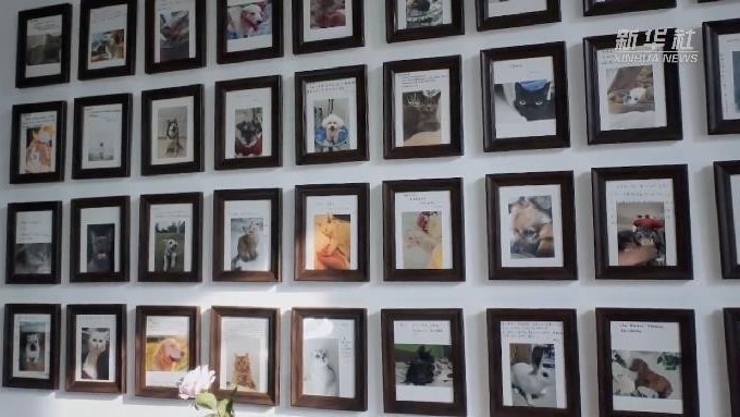 宠物殡葬师:与宠物温情告别的“使者” 宠物殡葬师:与宠物温情告别的“使者”