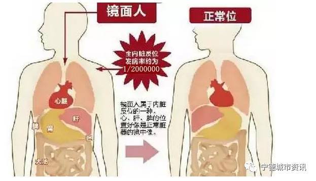 宁德蕉城中考录取分数线出炉啦!
