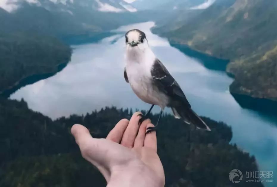 男人没出息的十大表现