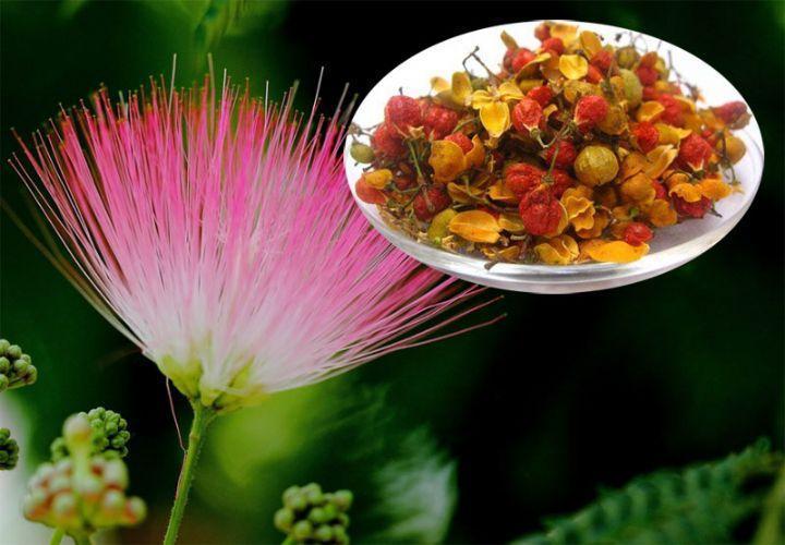 肝气不舒:泡一杯合欢花茶疏肝解郁
