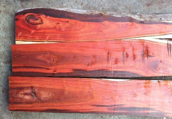 非洲酸枝木是什么鬼?注意,这些都不属国标红木