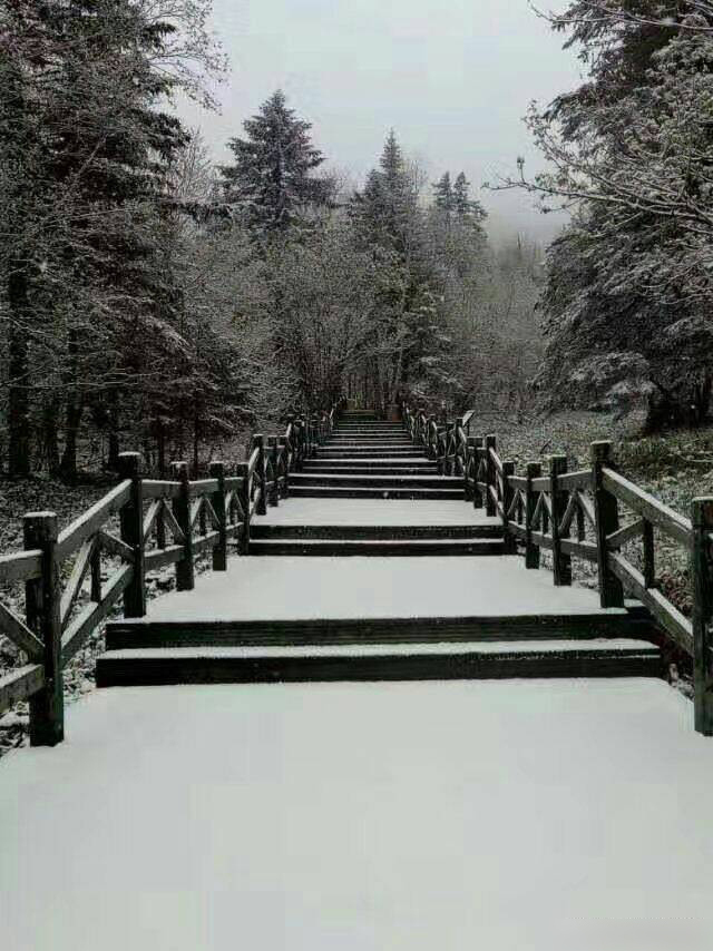 哈尔滨迎来6月飞雪 积雪达1公分厚