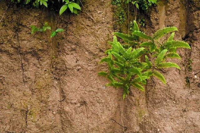 小预算国内最适合夏季穷游的9个旅行地 清凉避