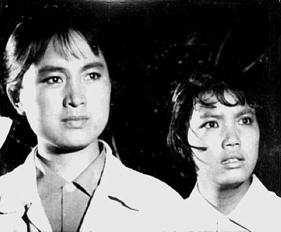 68岁崔新琴生活照带出多个大牌明星 王珞丹贾