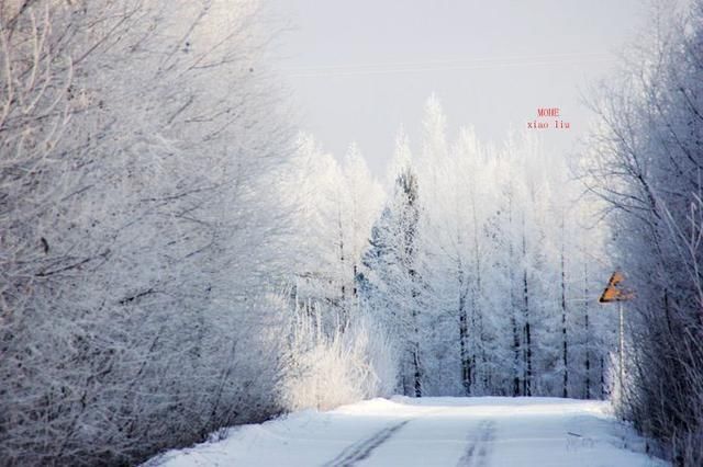 漠河北极村旅游攻略 去漠河旅游要花多少钱