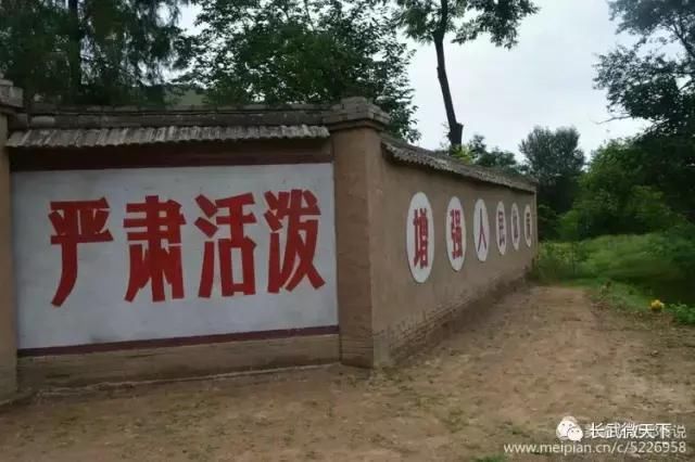 王茜华主演的电视剧《岁岁年年柿柿红》将于今