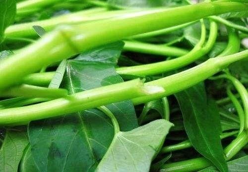 石家庄赵县11万亩蔬菜通过绿色、无公害认证