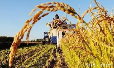 河北重点推进16个农村产权制度改革试点,让你