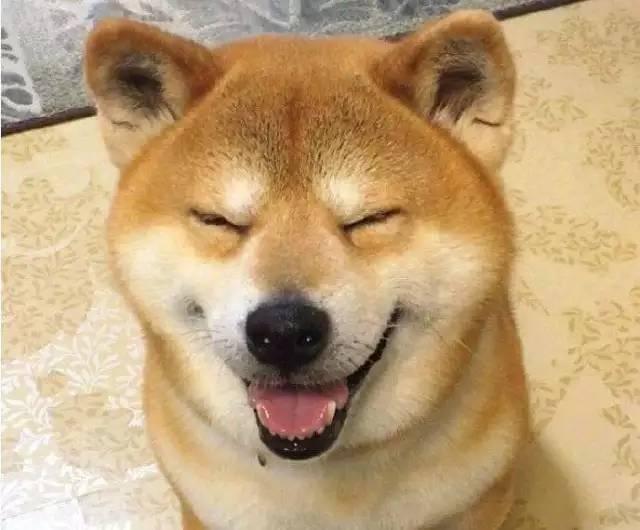 从里到外散发出幸福的表情,感染了许多网友让我们忘记了悲伤即使,在