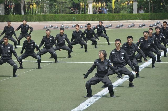 公安警校警察学院警官学院入警率、就业率是怎