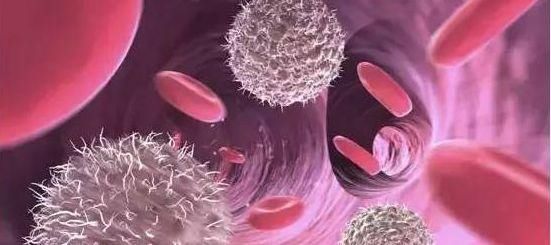 肺癌的免疫治疗:PD-1\/PD-L1新药介绍-抗癌管家