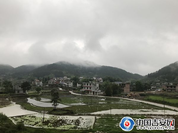中国吉安网 李艳,刘丽萍 樟木村是遂川县左安镇东部的一个小山村,地处