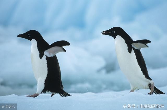 学习篇什么是股权转让,什么是资产转让?