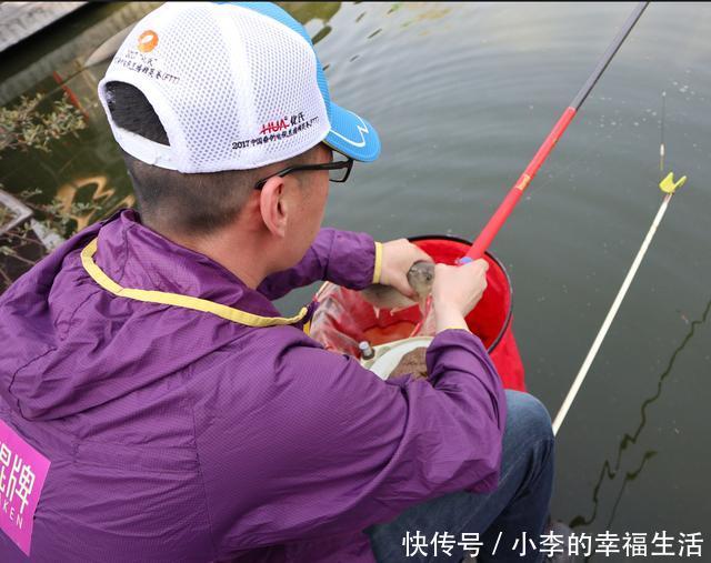 黑坑钓鱼技巧全攻略|想知道坑里有什么鱼,3点足